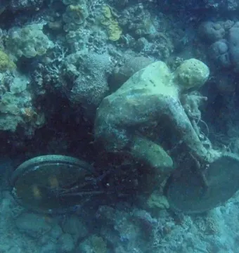 The Fall From Grace sculpture in Molinere Underwater Sculpture Park, covered in marine growth beside a bicycle wheel and frame.