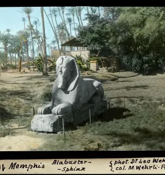 The Sphinx of Memphis stands on open ground with tall palm trees and dense foliage behind it.