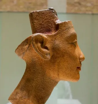 Unfinished head and neck sculpture of Nefertiti in profile facing right.