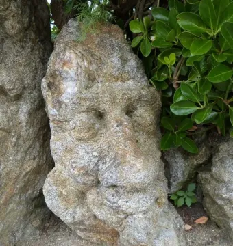 Rothéneuf Sculpted Rocks granite face with carved eyes, nose, and beard-like features surrounded by foliage