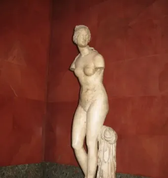 Venus Tauride marble statue of a nude female figure without arms, shown against a dark red wall with green marble wainscoting.