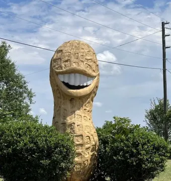 Jimmy Carter Peanut Statue with a grinning mouth and white teeth, standing outdoors beside green bushes.
