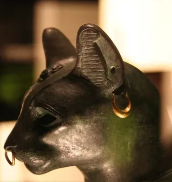 Gayer-Anderson cat in profile, showing a gold crescent earring and nose ring with detailed ear and forehead patterns.