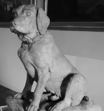 Cane Tago, a sculpture of a seated dog on a cushioned base with an inscription.