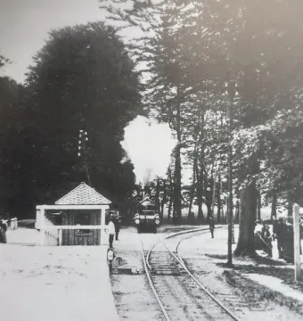 The Needle obelisk stands beside a railway line with a steam train approaching in a tree-lined setting.