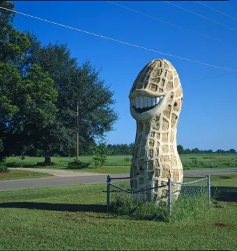 Jimmy Carter Peanut Statue, a large smiling peanut sculpture behind a small chain-link fence in a grassy field with trees, power lines, and blue sky.