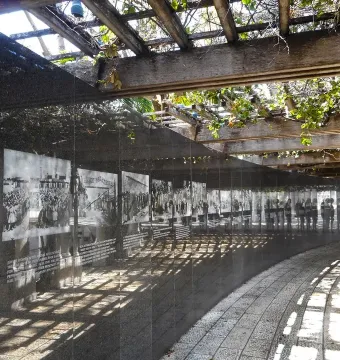 Curved dark wall at the Holocaust Memorial displaying historical photographs and text beneath a wooden pergola.