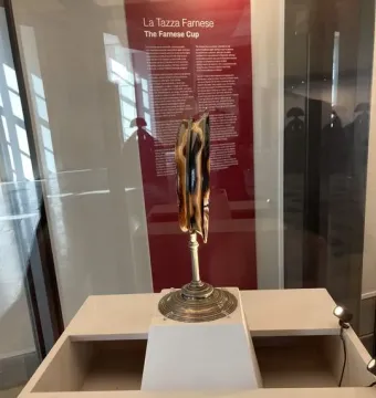 Tazza Farnese displayed vertically on a metal stand in a museum case.