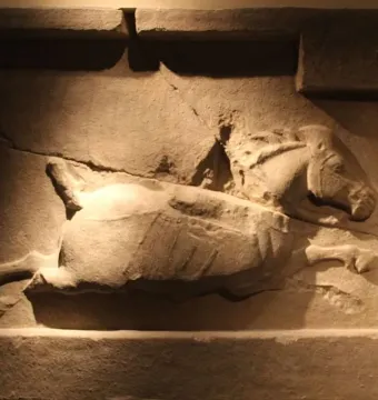 Stone relief of a horse from the Six Steeds of Zhao Mausoleum, shown in profile with its head raised and a harness visible.