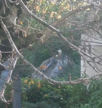 Oscar Wilde Memorial Sculpture reclining on a rock among trees, partly obscured by bare branches.