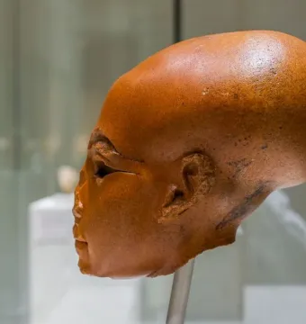 Profile view of a reddish-brown head sculpture of a princess with an elongated cranium and missing eye inlays, mounted on a stand.