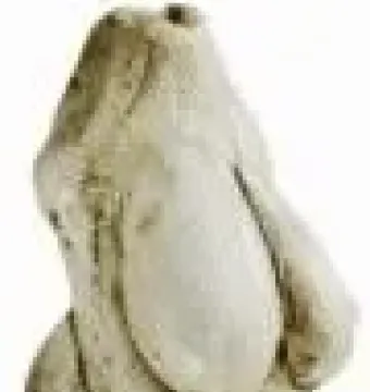 Venus of Moravany figurine with a rounded torso, prominent breasts, and no visible head or limbs.