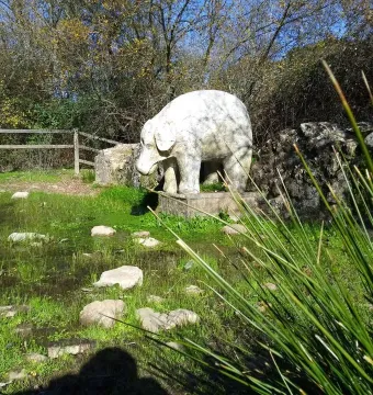 Weathered white stone elephant fountain beside a shallow grassy pool, partially hidden by tall green reeds.