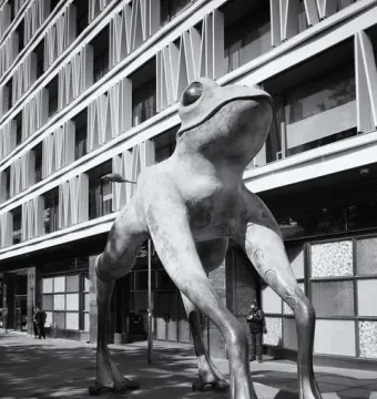 Lucky Frog sculpture on a city sidewalk beside a modern building.