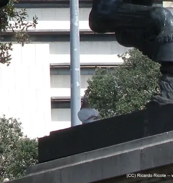 Close-up of a dark sculpture detail at Plaça de Catalunya with a pigeon perched on the ledge below a carved leg and hoof.