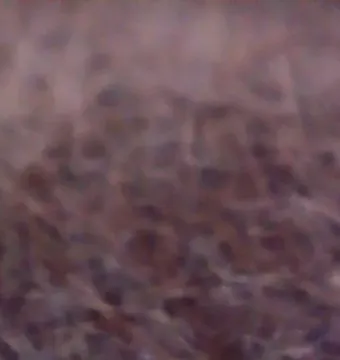 Abstract blurred texture in muted purple and brown tones with interwoven lines.