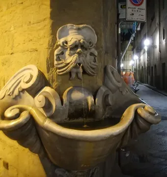 Fontana dello Sprone illuminated at night, with a carved bearded face pouring water into a shell-shaped basin.