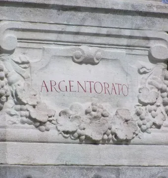 Argentorato inscription on the Rhine Water Fountain, framed by grape clusters, vine leaves, and ornate carvings.