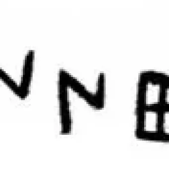 Black alphabet-like characters arranged in a horizontal line on a white background, associated with the Viterbo Rooster.