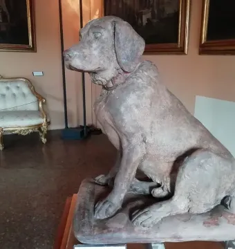 Cane Tago, a seated terracotta dog sculpture with a faint red collar.