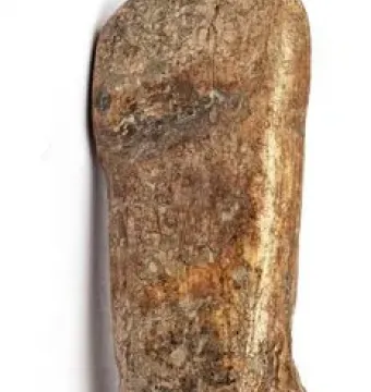 Immodest Venus figurine with a slender torso, flat abdomen, and subtly shaped hips and thighs.