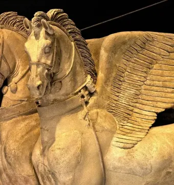 Detail of the Winged Horses of Tarquinia showing two winged horse heads and upper bodies in relief.