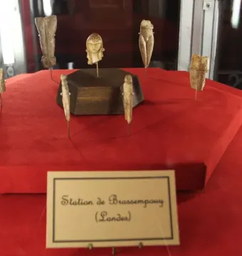 The Venus of Brassempouy ivory head displayed in a museum case on a red base, surrounded by other carved artifacts.