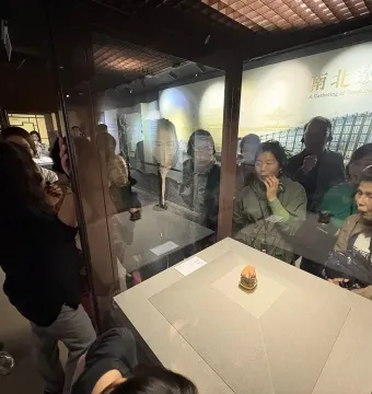 Meat-Shaped Stone displayed in a glass case with layered reddish-brown, pale, and dark stone bands.