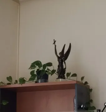 Ángel Custodio statue with wings holding a cross aloft on a shelf, framed by green plants.