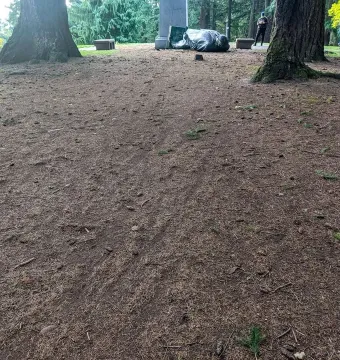 The toppled Harvey W. Scott statue lies on its side near a stone pedestal on Mt. Tabor, framed by trees and surrounded by pine needles and dirt.