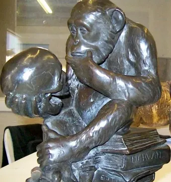 Bronze sculpture of a chimpanzee holding a human skull while seated on books, including one labeled Darwin.