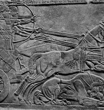 Stone relief of the Lion Hunt of Ashurbanipal showing a chariot archer and wounded lions.