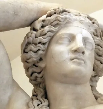 Close-up of the Ludovisi Dionysus showing the marble head with wavy hair and a band or crown, with part of a muscular arm above.