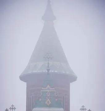 Capitoline Wolf statue of a she-wolf nursing two infants, partially obscured by fog with ornate rooftops behind it.
