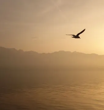 The Fork of Vevey sculpture stands partly submerged in calm water at sunset, with mountains in the distance and a bird in the sky.