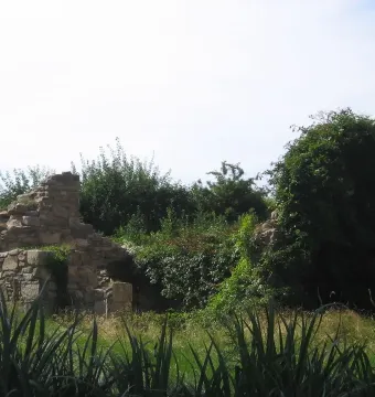 Stone walls and vine-covered mound at the Irish Hunger Memorial, surrounded by tall grasses and green vegetation.