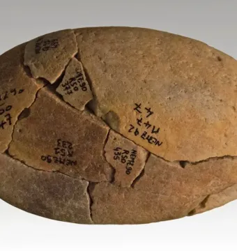 Fragmented light brown stone associated with the Venus of Monruz, marked with handwritten labels and visible cracks.