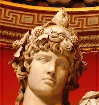 Upper portion of the Antinous Braschi marble sculpture, showing a youthful face with curly hair and a wreath of grapes and leaves against a red decorative background.