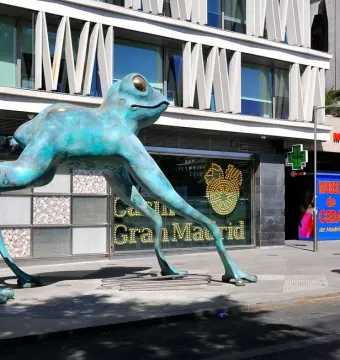 Lucky Frog sculpture with a blue-green oxidized surface and etched symbols on its legs, standing on a city sidewalk.