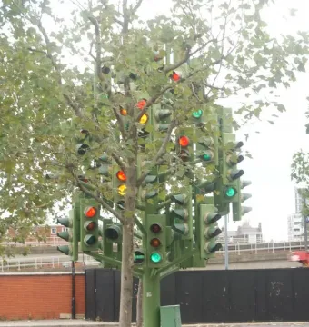 Traffic Light Tree sculpture glowing with red, yellow, and green lights among surrounding trees in an urban setting.