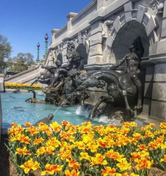 Court of Neptune Fountain with bronze mythological figures and horses spraying water into a turquoise basin, bordered by yellow and red tulips.