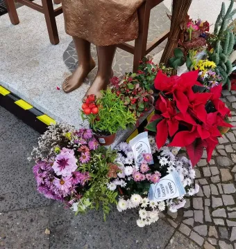 The Peace Statue’s bronze lower legs and bare feet on a stone base, surrounded by floral arrangements and potted plants.
