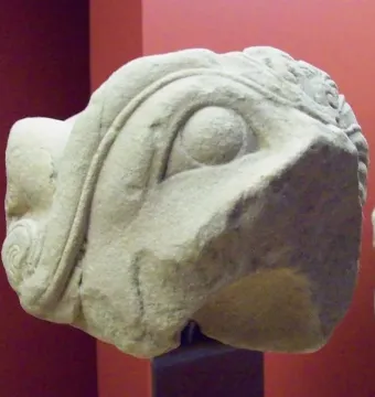 Weathered stone fragment of the Grifo de Redován showing a large round eye and ornate swirling details.