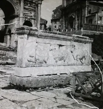 Marble relief slab from the Plutei of Trajan showing carved livestock in front of ancient Roman ruins.