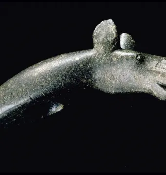 Alunda Moose stone sculpture with a curved animal head on a black background