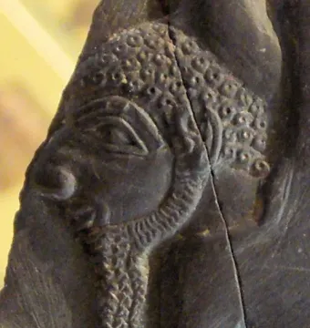 Carved stone fragment from the Bull Palette showing a stylized profile head with patterned hair, a detailed eye, and a curly beard split by a vertical crack.