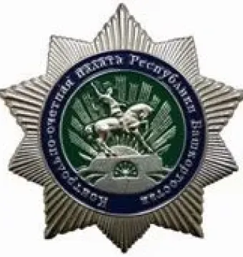 Silver-toned star emblem with a central medallion showing the Salavat Yulaev horseman motif.