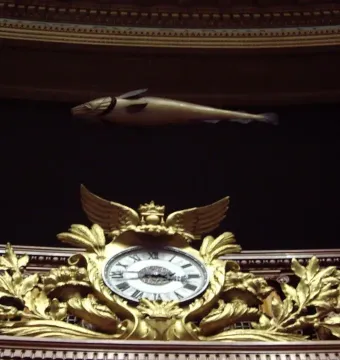 The Sacred Cod hangs horizontally against a dark backdrop above an ornate golden clock with leaf motifs and a winged top.