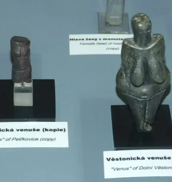 Replica of the Venus of Petřkovice showing a dark female torso with prominent breasts and hips on a clear stand.