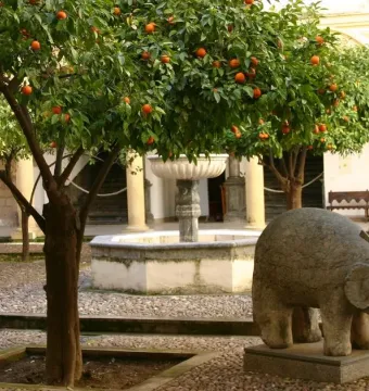 A weathered stone elephant fountain stands in a courtyard with an orange tree and a tiered fountain behind it.